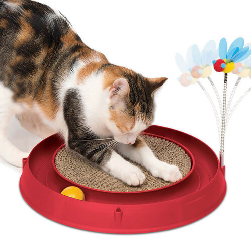 Catit - Play Circuito 3 en 1 con Rascador