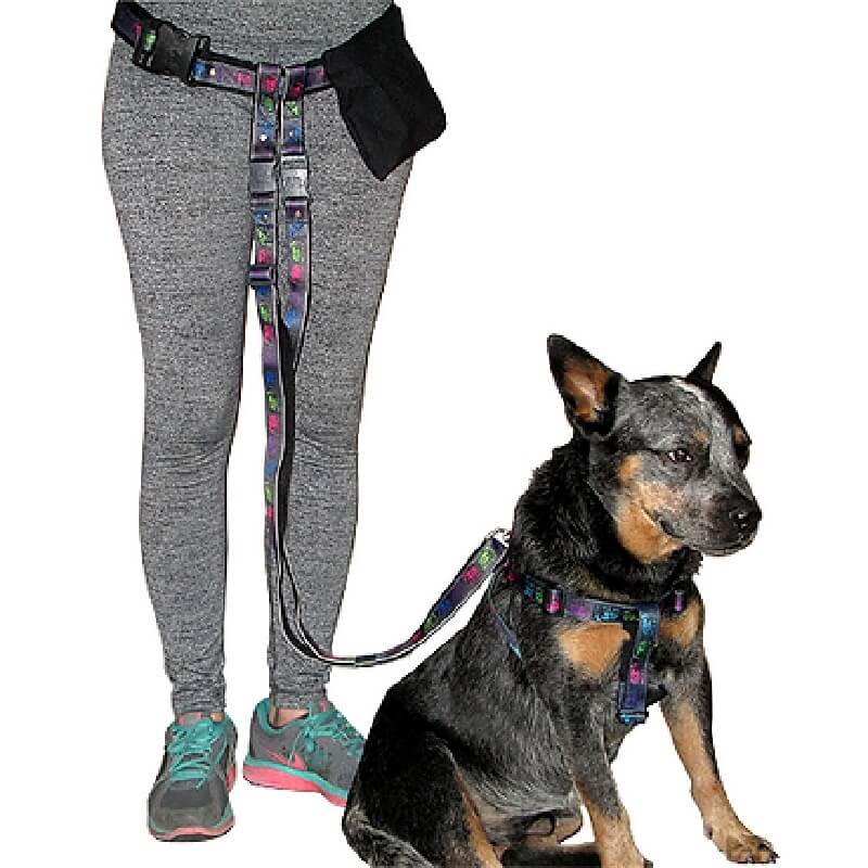 Animal Shop - Manos Libres