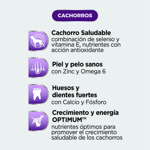 optimum-alimento-humedo-cachorro-pollo