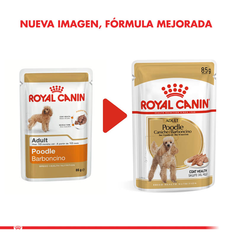 royal-canin-poodle-adulto-pouch-85-g