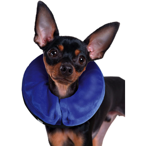 kong-collar-isabelino-inflable-cloud
