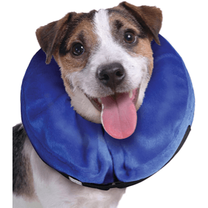 kong-collar-isabelino-inflable-cloud