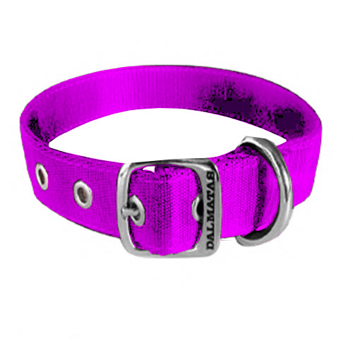 dalmatas-collar-liso-reata