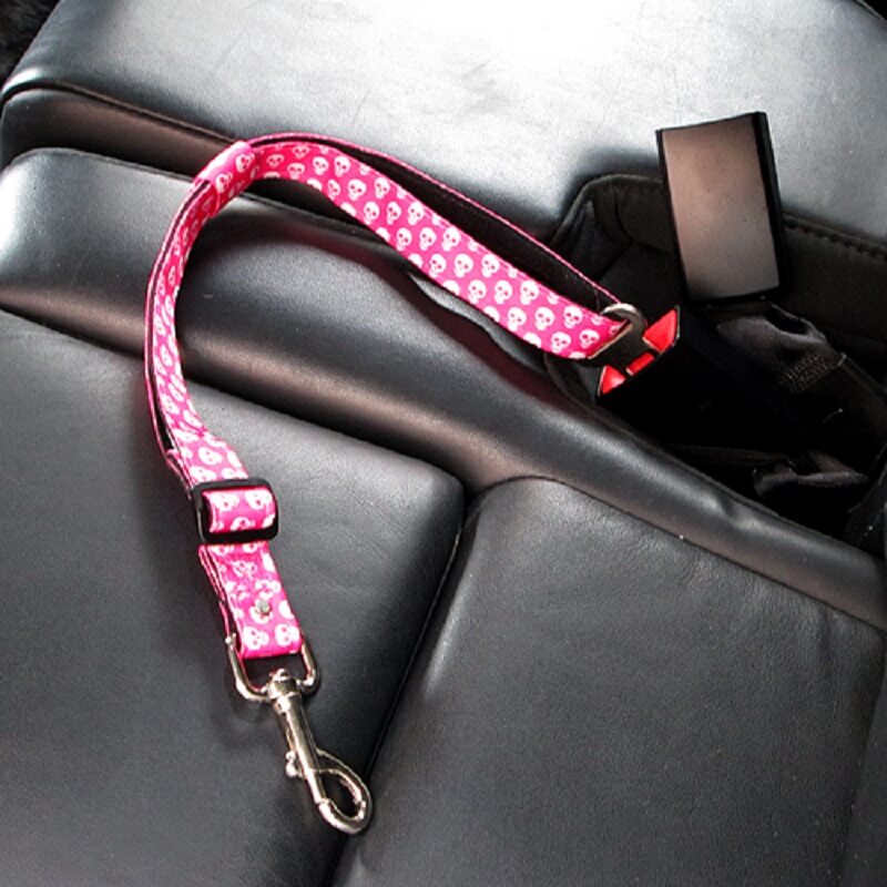 animal-shop-cinturon-de-seguridad-entrega-en-2-dias-habiles-ruta-tarde