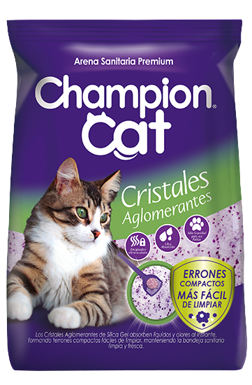 champion-cat-cristales-sanitarios-aglomerantes