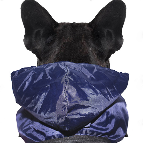 argos-capa-impermeable-malla