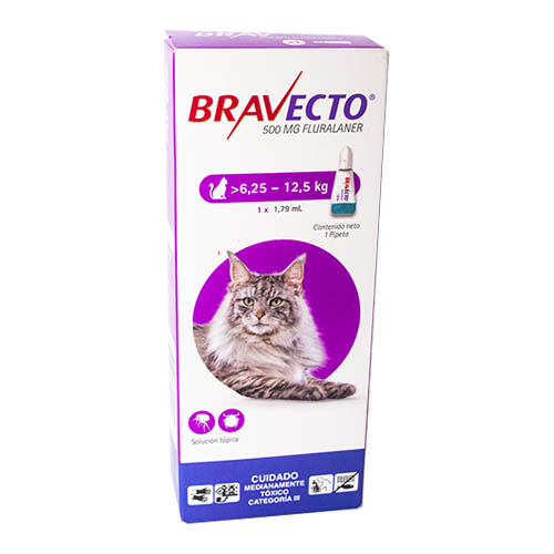 Bravecto - Gatos