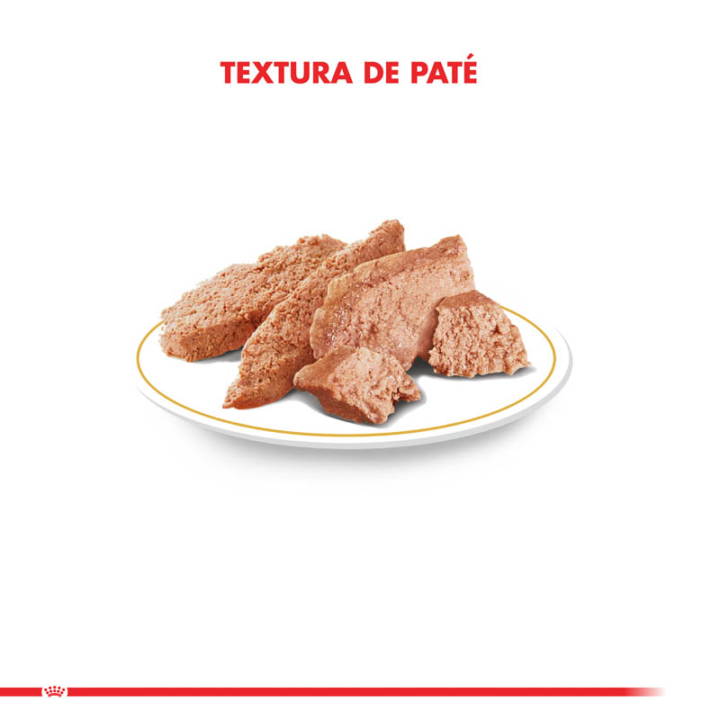 royal-canin-poodle-adulto-pouch-85-g