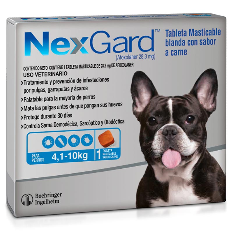 nexgard-perros-de-4-hasta-10-kg