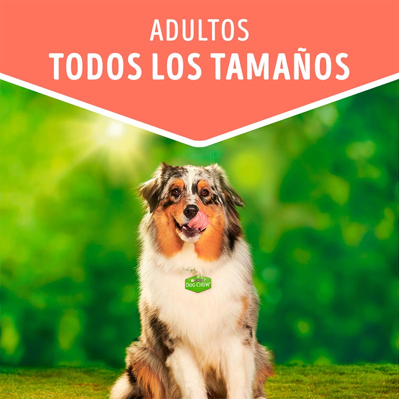 dog-chow-adultos-todos-los-tamanos-pollo