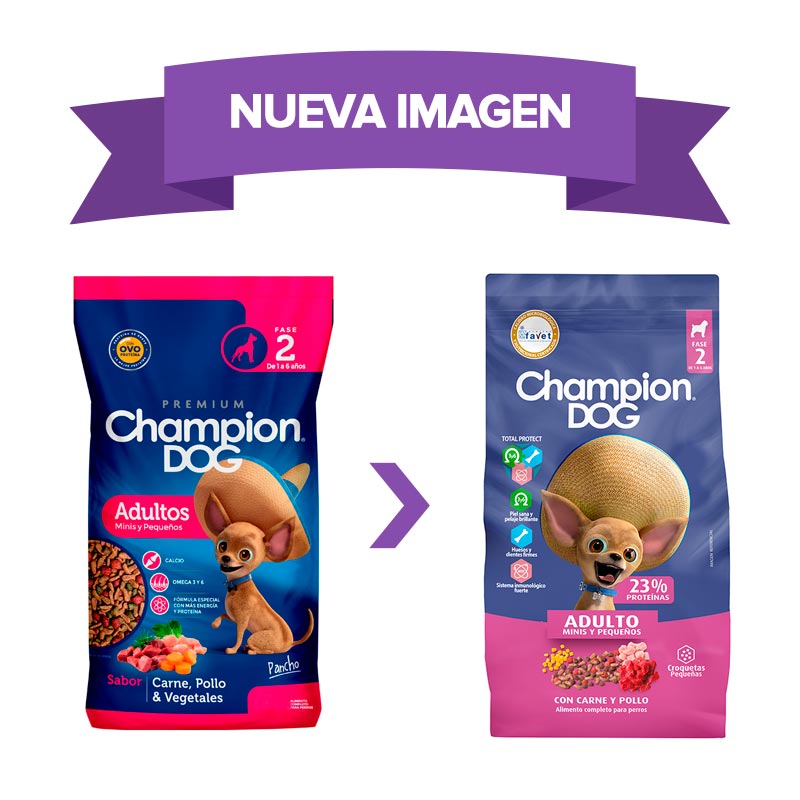 champion-dog-adultos-minis-pequenos