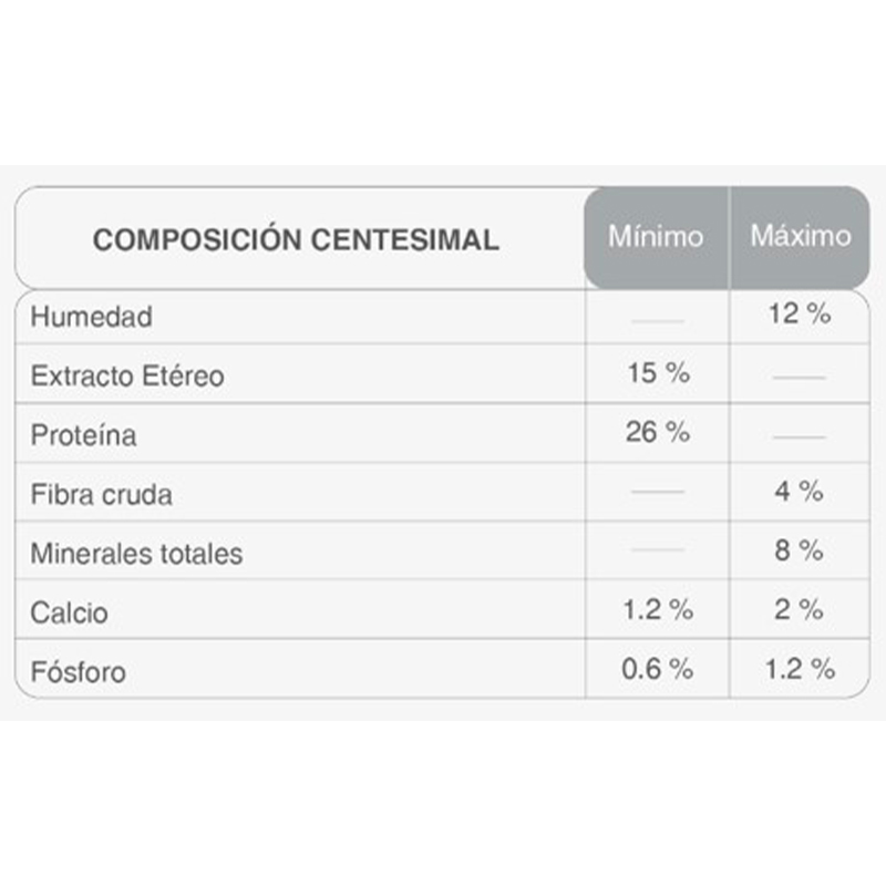 kongo-carne-pollo-y-vegetales-cachorros