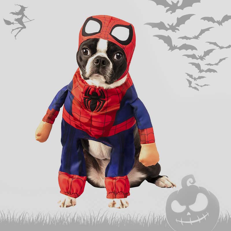 Disfraces Americanos - Pet walking spider-man
