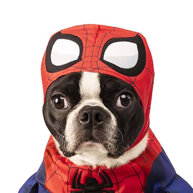 disfraces-americanos-pet-walking-spider-man