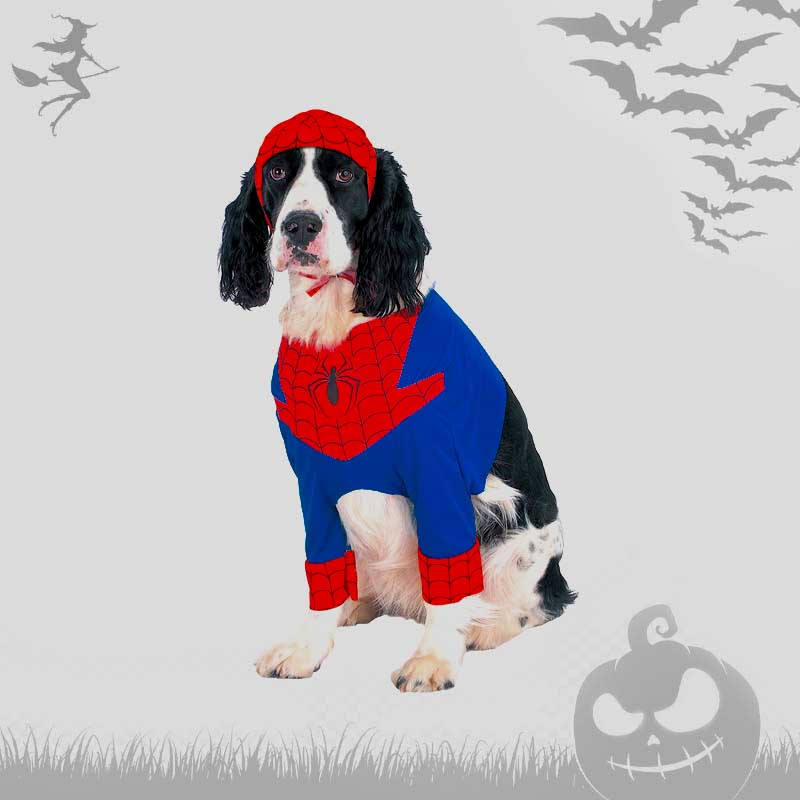 disfraces-americanos-pet-walking-spider-man