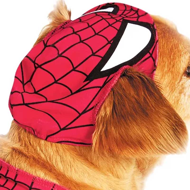 disfraces-americanos-pet-walking-spider-man