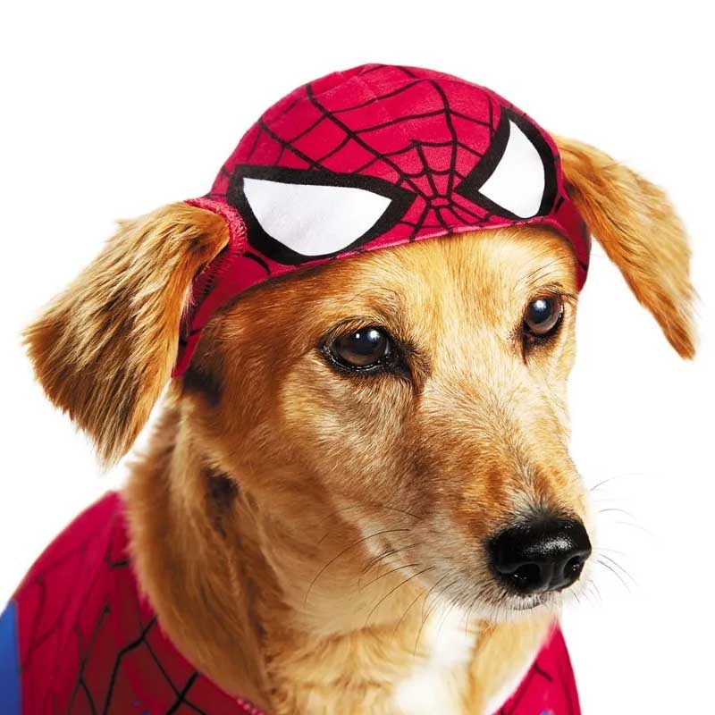 disfraces-americanos-pet-walking-spider-man
