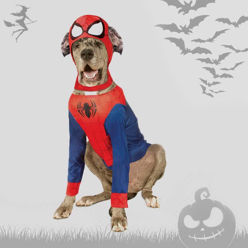 disfraces-americanos-pet-walking-spider-man