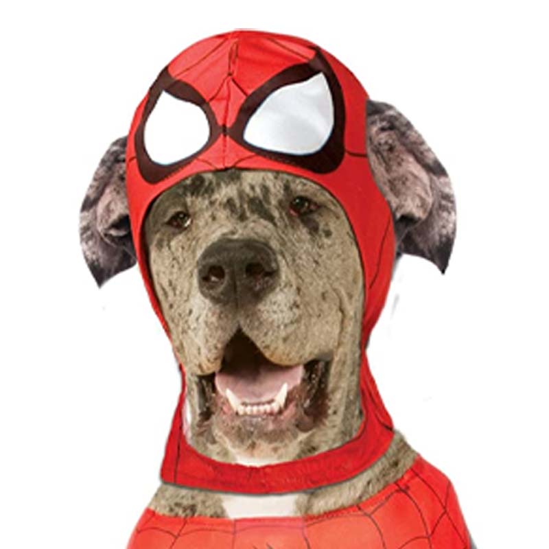 disfraces-americanos-pet-walking-spider-man