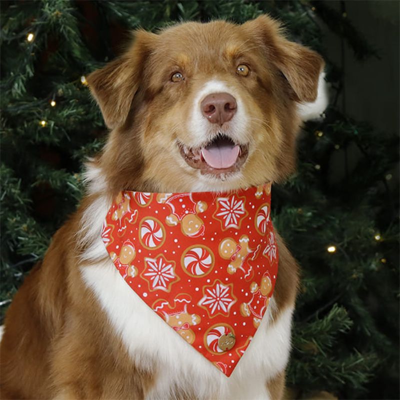 alana-bandana-ginger