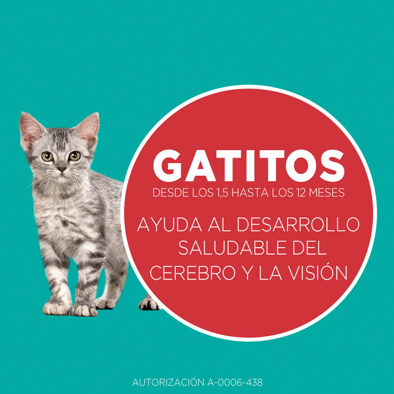 purina-one-gatito-pollo-y-carne