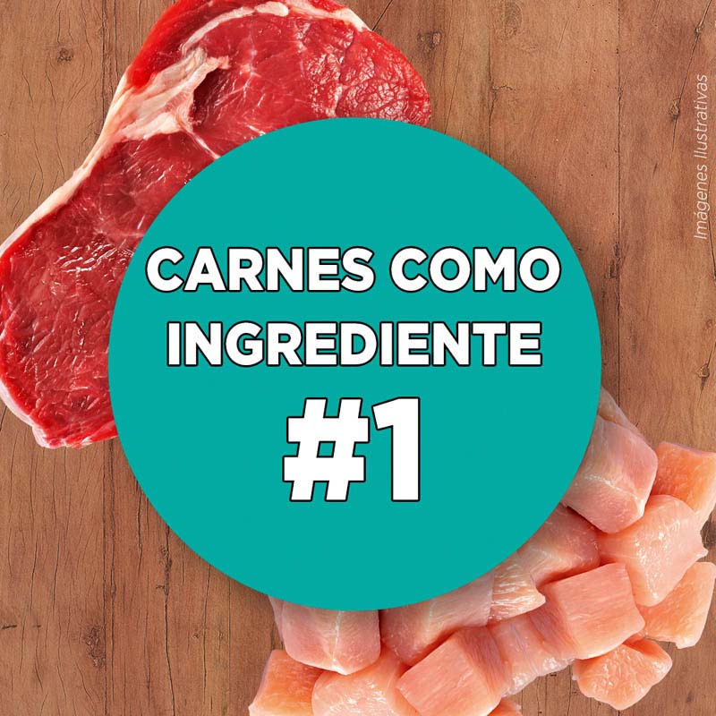purina-one-gatito-pollo-y-carne