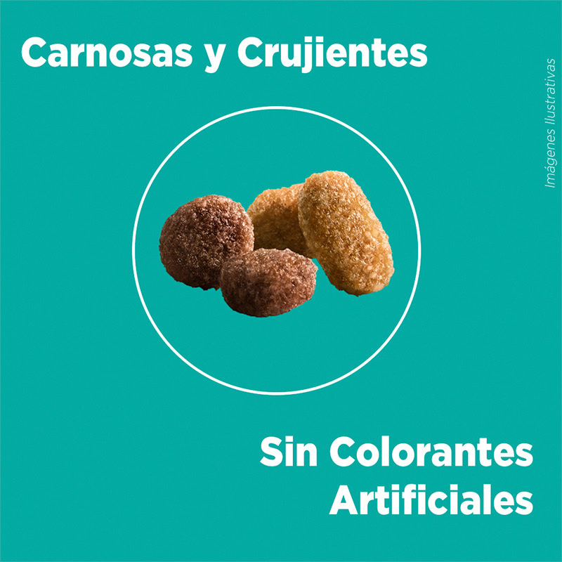 purina-one-gatito-pollo-y-carne