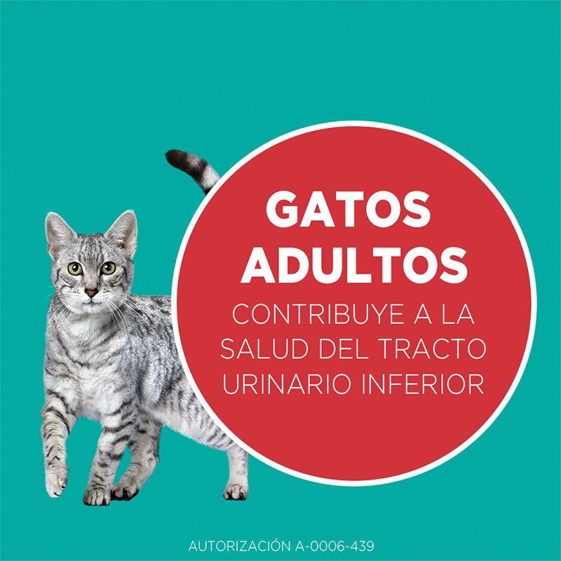 purina-one-gato-pollo-y-carne