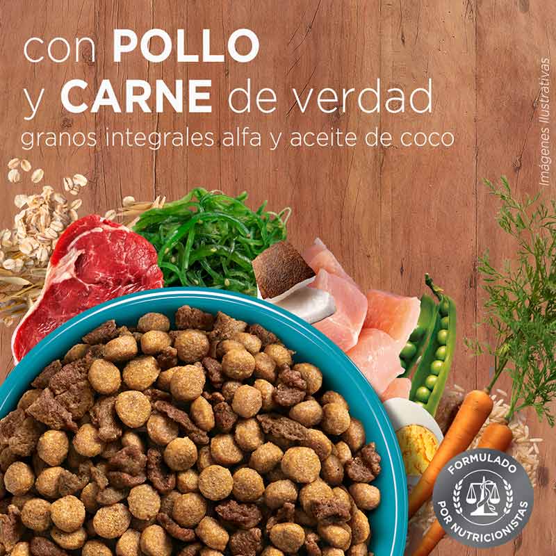 purina-one-gato-pollo-y-carne