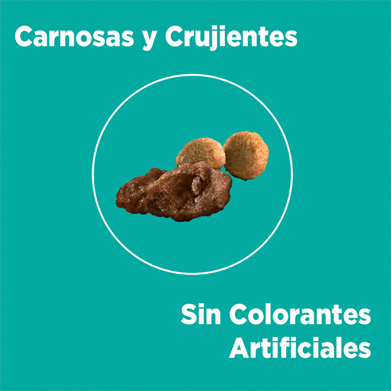 purina-one-gato-pollo-y-carne