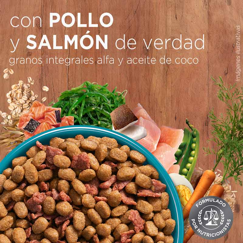 purina-one-gato-pollo-y-salmon
