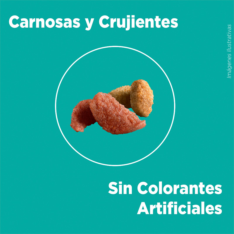 purina-one-gato-pollo-y-salmon