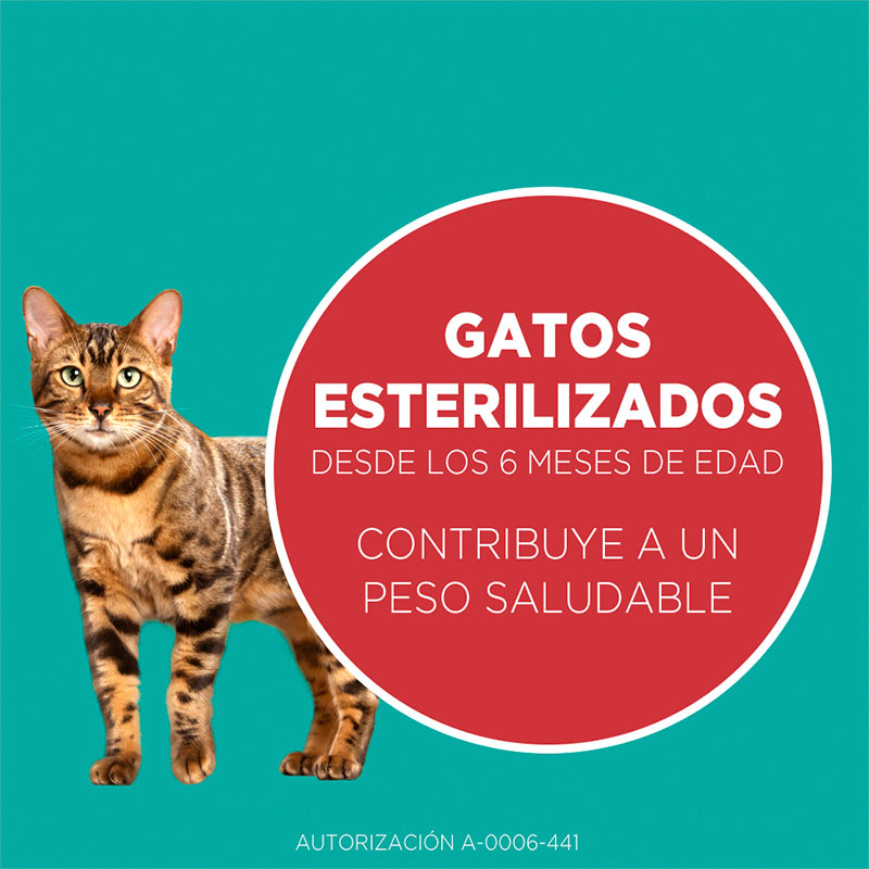 purina-one-esterilizado-salmon
