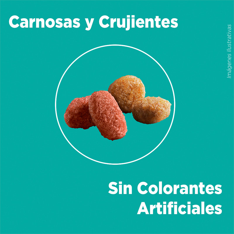 purina-one-esterilizado-salmon
