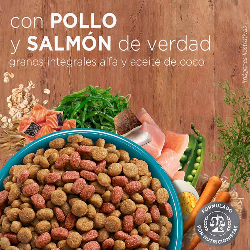 purina-one-esterilizado-salmon