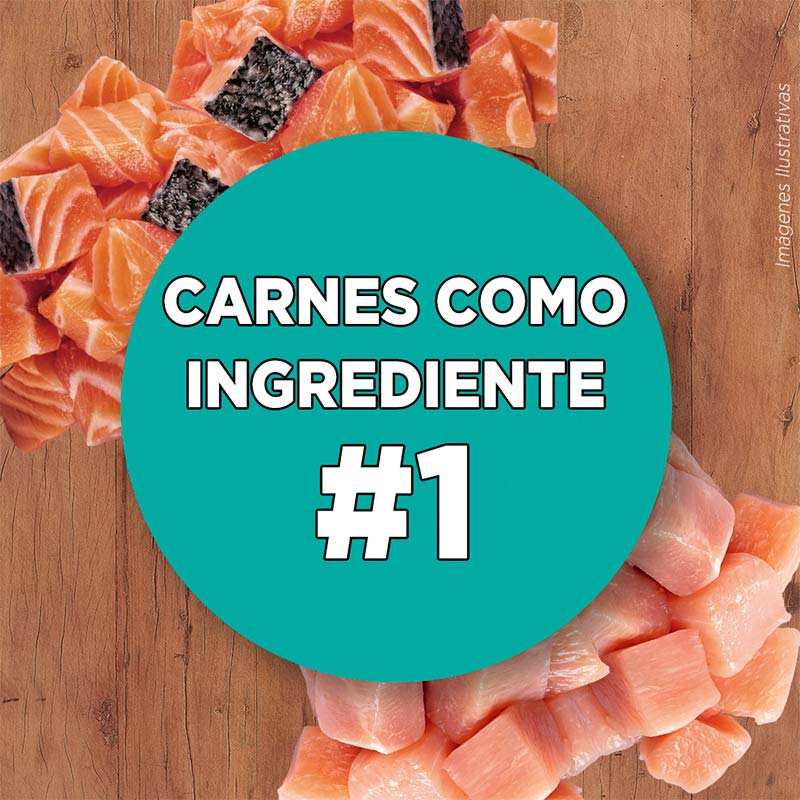purina-one-esterilizado-salmon