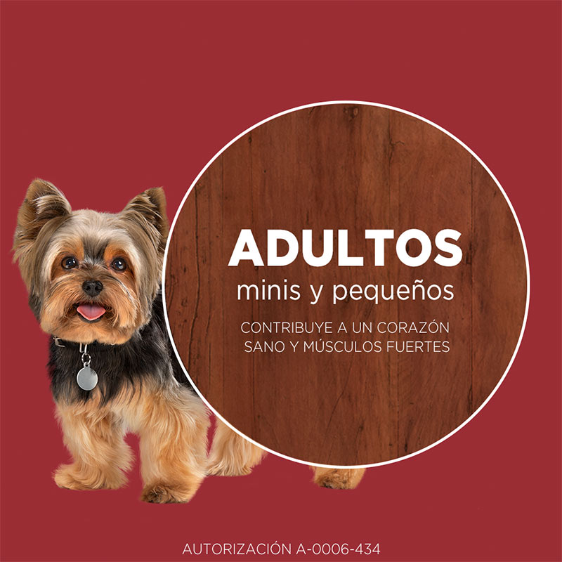 purina-one-adulto-mini-pequeno-carne