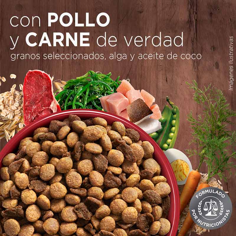 purina-one-adulto-mini-pequeno-carne