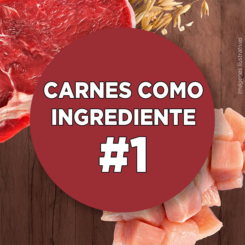 purina-one-adulto-mini-pequeno-carne