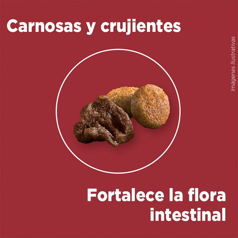 purina-one-adulto-mini-pequeno-carne