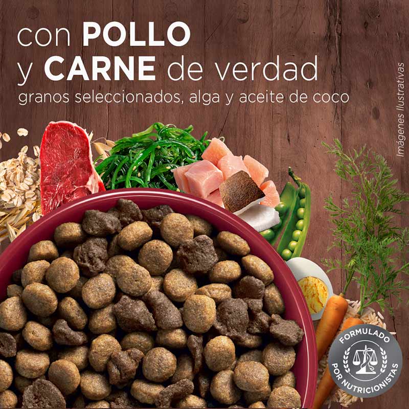purina-one-adulto-mediano-grande-carne