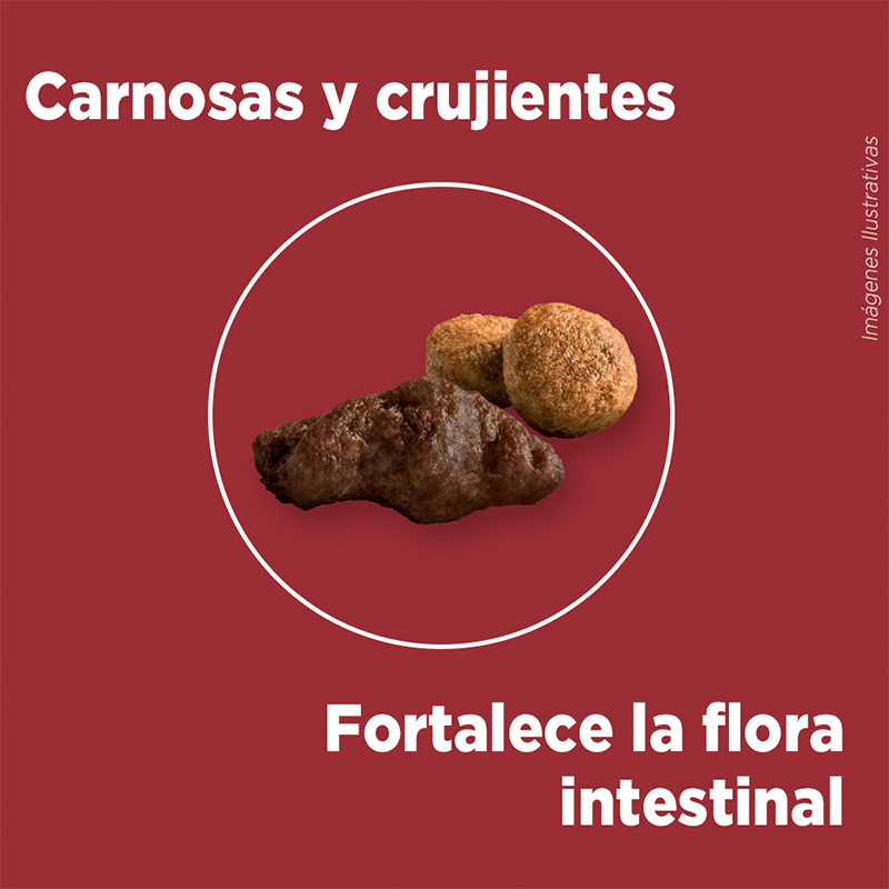 purina-one-adulto-mediano-grande-carne
