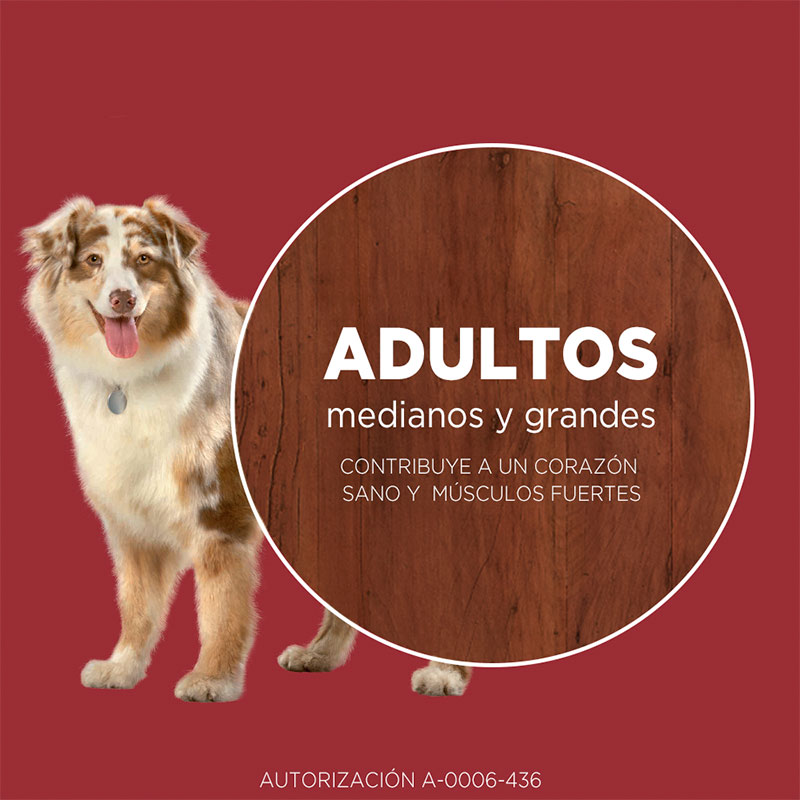 purina-one-adulto-mediano-grande-carne