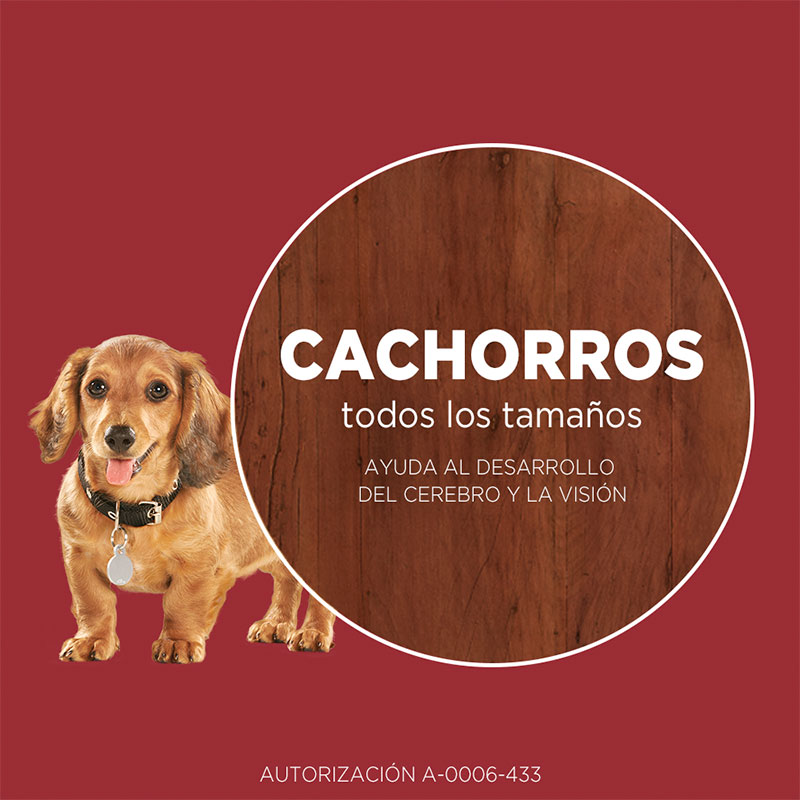 purina-one-cachorro-pollo-y-carne
