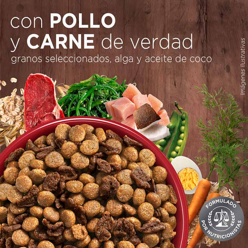 purina-one-cachorro-pollo-y-carne