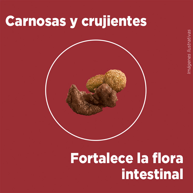 purina-one-cachorro-pollo-y-carne