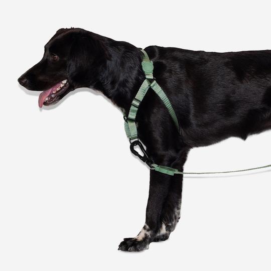 zeedog-army-green-soft-walk-harness