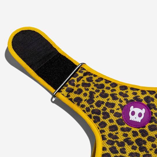 zeedog-arnes-honey-ajustable-air-mesh