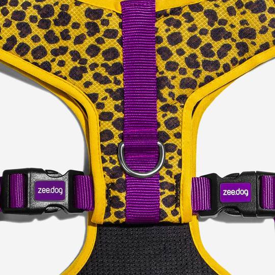 zeedog-arnes-honey-ajustable-air-mesh