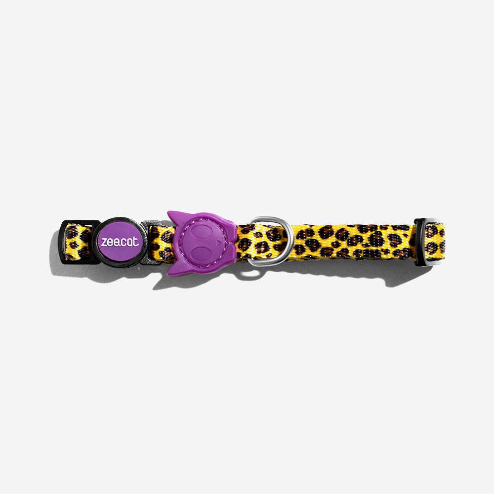 zeedog-honey-cat-collar